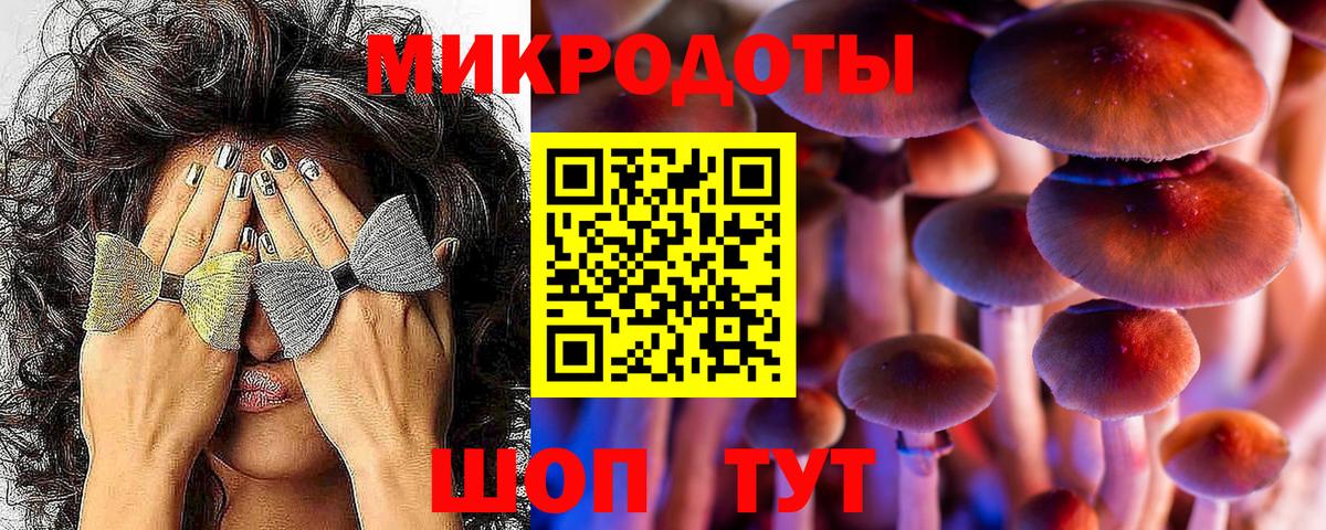 Галлюциногенные грибы MAGIC MUSHROOMS Павловский Посад