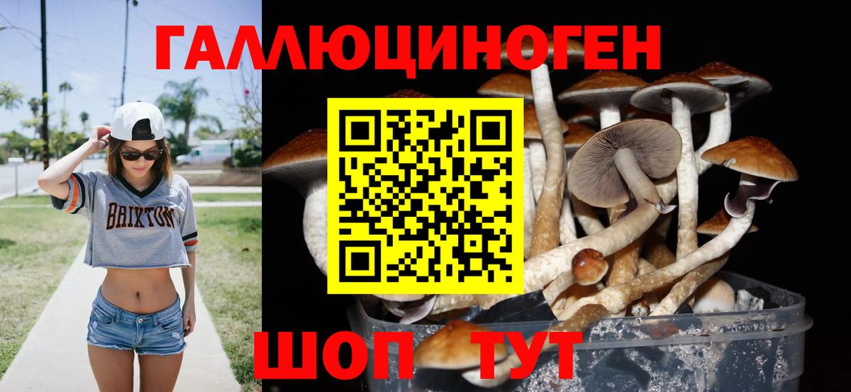 Павловский Посад  купить наркотик  Вход с VPN  Псилоцибиновые грибы MAGIC MUSHROOMS 